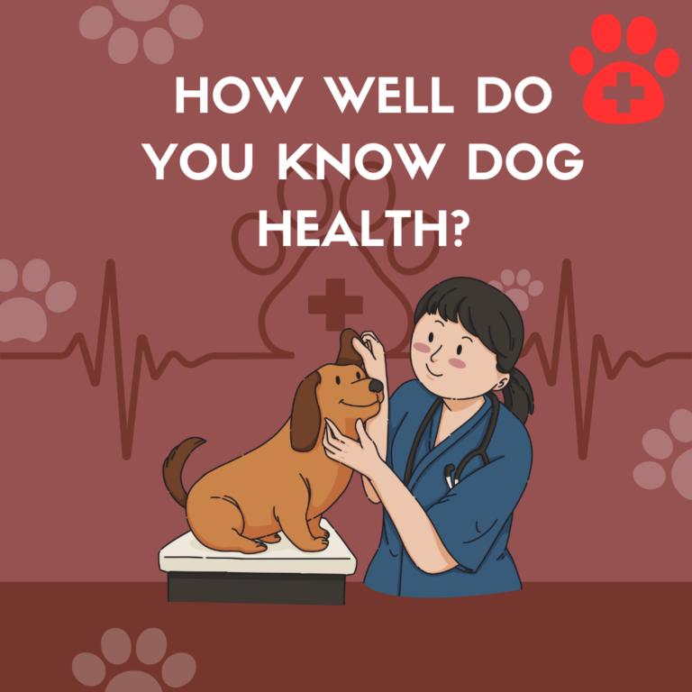 Dog Care Knowledge Quiz