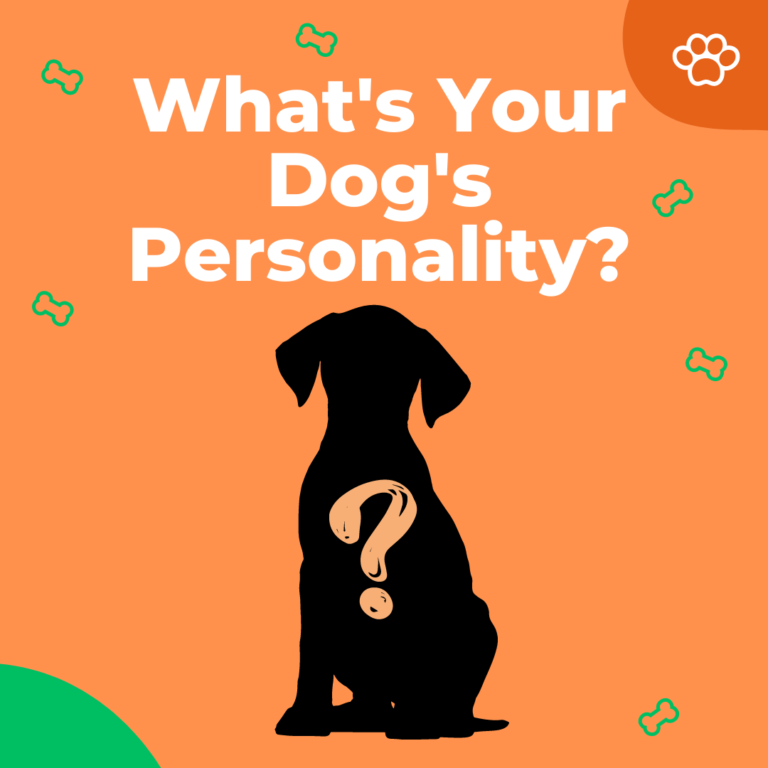 dog personality